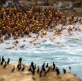 /album/fotogaleria-fotografia/a1236135-536842983054673-855132156-n-jpg/
