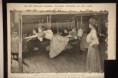 /album/fotogaleria-fotografia/a1374710-3584296903829-1740362816-n-jpg/